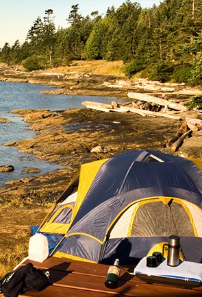 Forest & Beach Camping Andaman